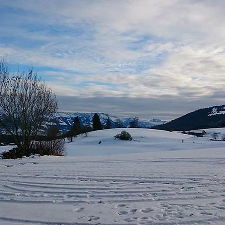 Schoenau *