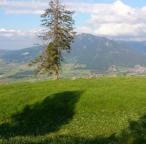 Appartement Schoenau