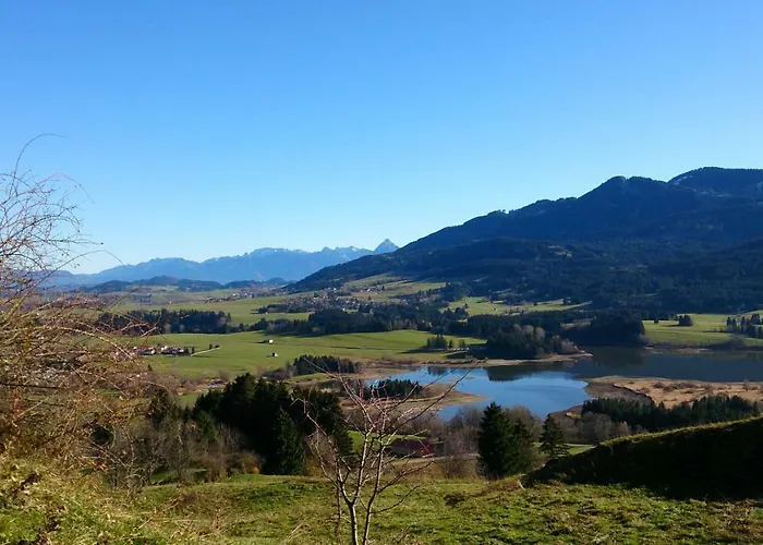 Schoenau *